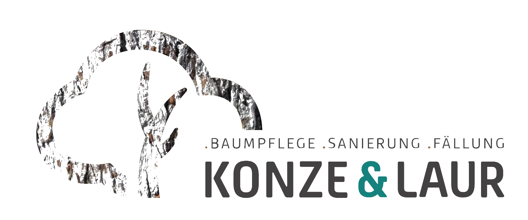 Konze & Laur — Baumpflege, Sanierung, Fällung